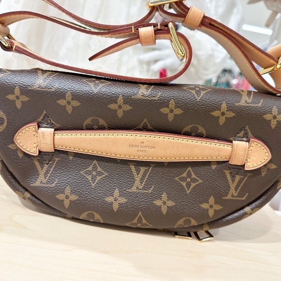 Louis Vuitton Monogram Bumbag - Picture 11 of 16